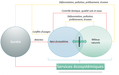 Figure 7. Interactions société-agroécosystèmes-milieux naturels.