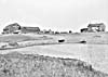 Photo : Ferme de monsieur Holden prs d'Indian Head (Saskatchewan), aot 1902