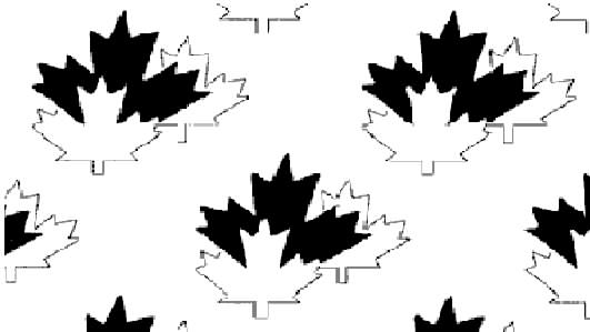 Tri-Maple Leaf Watermark