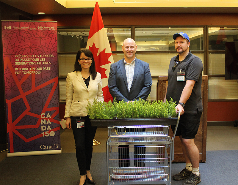 1 woman and 2 men pose with 150 tree saplings. A Canada 150 pop-up banner and 2 Canadian flags are in the background.