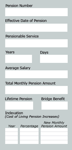 Layout for your pension data - Descrliption below.