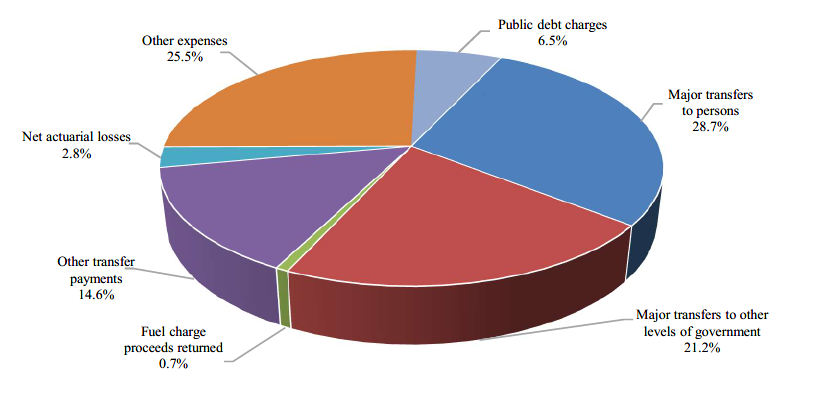 Composition of expenses for 2020. Refer to the text description following the image.