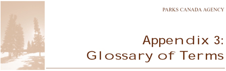 Appendix 3:Glossary of Terms