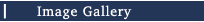 Image Gallery