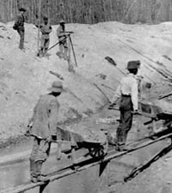 Photographie d’une file d’hommes poussant des brouettes en haut d’une butte, utilisant une troite passerelle de bois. On voit de grands arbres en arrire.