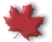 Leaf graphic