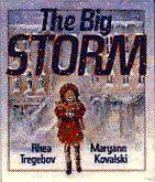 Photo of book cover: The Big Storm