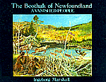 The Beothuk of Newfoundland: A Vanished People