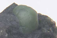 Botryoidal jade in matrix, 501