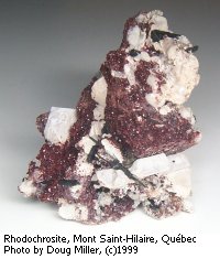 Canadian Mineral Society / Societe Canadienne de Mineralogie
