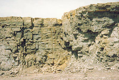 Dundas Quarry