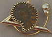 Ammonite Jewellry