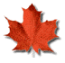 Maple Leaf