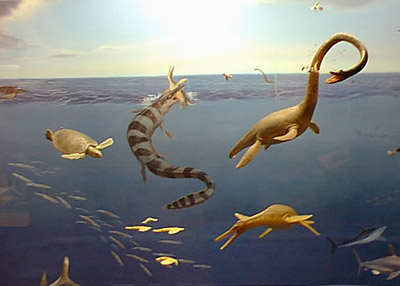 Ancient sea creatures