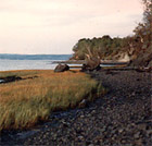 Campbellton shoreline
