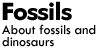 About fossils and dinosaurs
