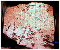 Giant plate of microcline