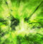 Arbres