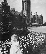 Photo: Young Margaret Sinclair in tulip bed near Parliament Hill, May 1952.