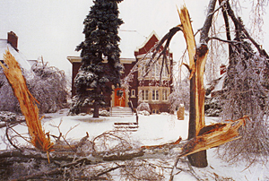 Photo : Ice storm damage on Island Park Drive, January 1998.