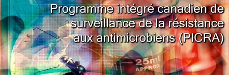 Programme intégré canadien de surveillance de la résistance aux antimicrobiens (PICRA)