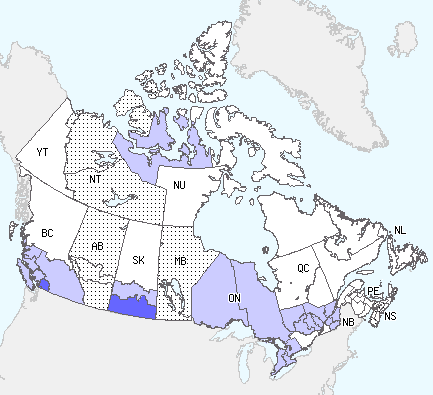 Influenza Activity Level by Influenza Surveillance Regions, Canada