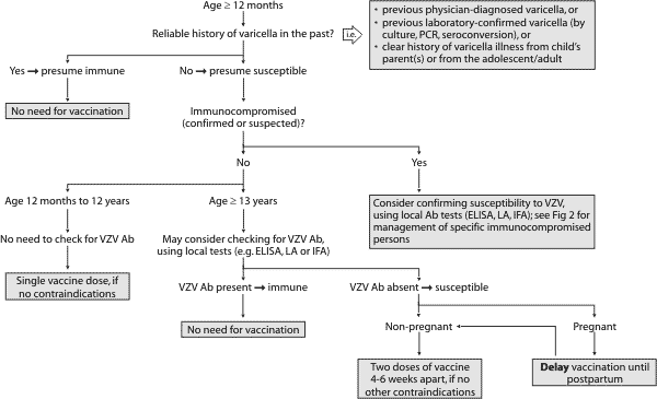 Varicella vaccination algorithm for individuals >= 12 months of age