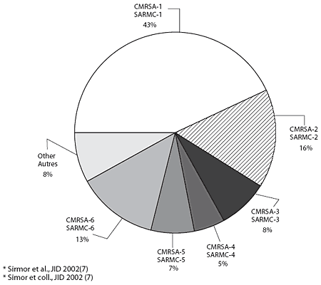 Figure 3. Distribution of epidemic clones of MRSA (as determined by pulsed-field gel electrophoresis*) in Canadian hospitals