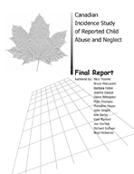 Canadian Incidence Study of Reported Child Abuse and Neglect - image