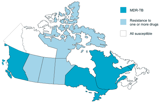 Reported TB drug resistance in Canada by province/territory – 2000 (n = 1,464)