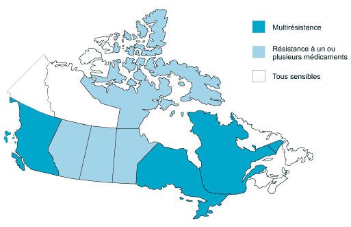 Résistance aux antituberculeux déclarée au Canada par province/territoire - 2000 (n = 1
 464)