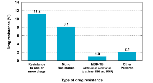 Overall pattern of reported TB drug resistance in Canada – 2000