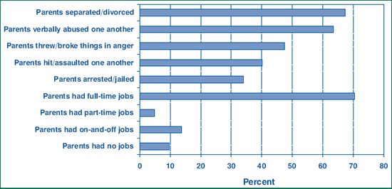 Figure 1. Characteristics of street youth's families in 2003