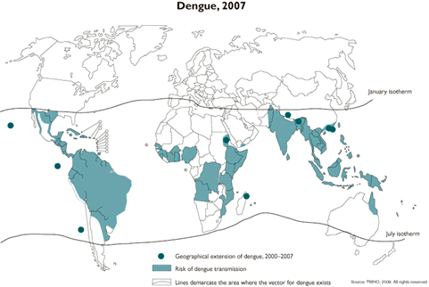 Figure 1: Dengue Transmission Risk 