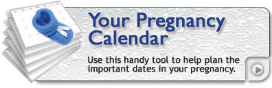 Pregnancy calendar - Use this handy tool to help plan the important dates in your pregnancy, find out about important milestones in your baby’s development.