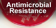 Antimicrobial Resistance