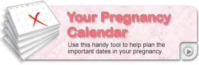 Pregnancy calendar - Use this handy tool to help plan the important dates in your pregnancy, find out about important milestones in your baby’s development.