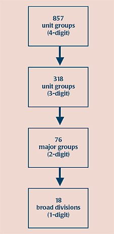 FIGURE 1. The structure of the standard industrial code 1980