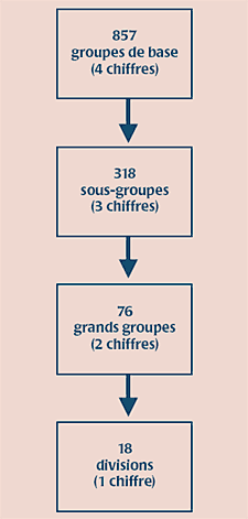 FIGURE 1. Structure de la Classification type des industries 1980