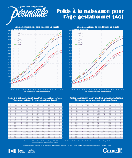 Poids à la naissance pour l'âge gestationnel - affiche