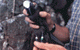 Wildlife Tracking Technologies