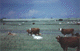 Ecological Grazing Rejuvenates Native Prairie