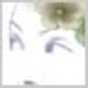 flower resized.jpg
