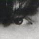 The Gaiman gaze