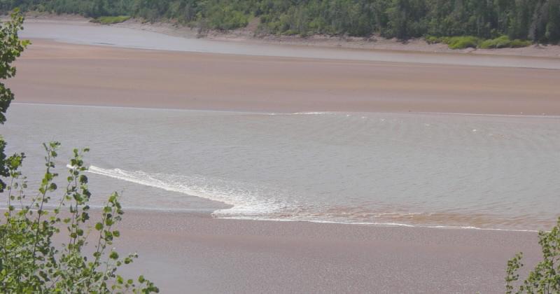 Colchester County: tidal bore at Caddell Rapids, Shubenacadie River