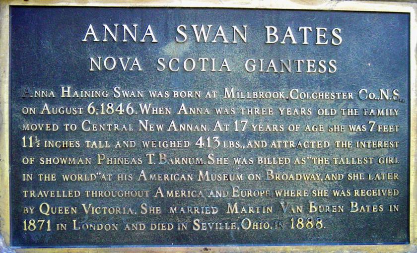 Central New Annan: Anna Swan plaque