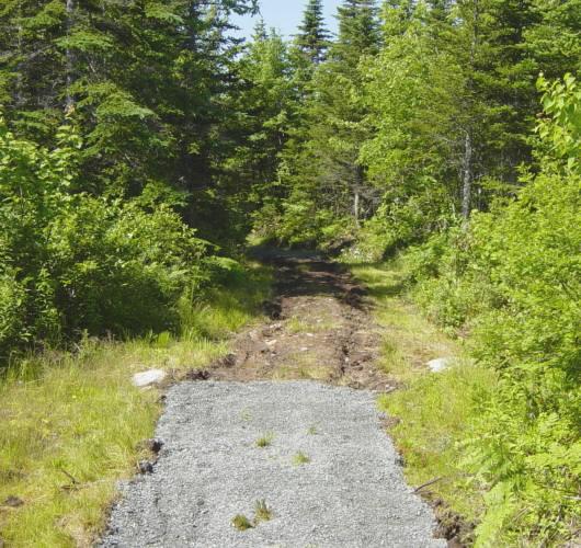 Country Harbour: Loyalist Trail between the roadside park and the waterside monument