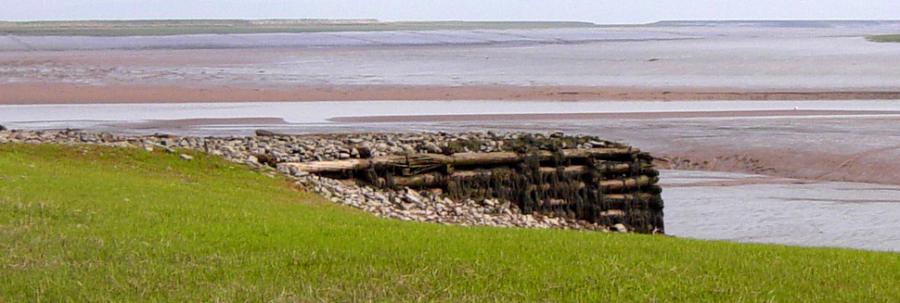 Remains of the old wharf at Horton Landing