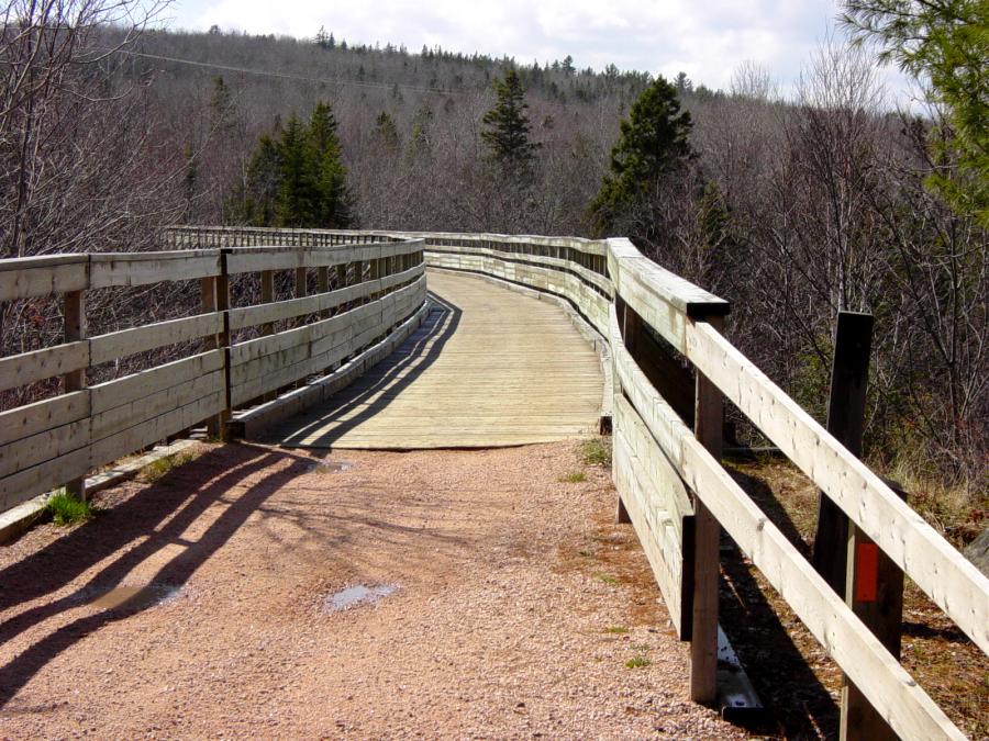 Gold River Bridge with new deck and handrail by Military Engineers
