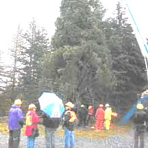 Many, including George Himmelman, who donated the tree and is holding the umbrella, take one final look at the Boston Christmas tree before it was cut down on October 19 and loaded by crane on a flatbed truck.